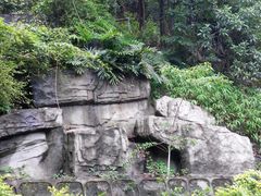 -广州市帽峰山景区