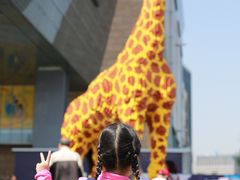 -上海新发展亚太JW万豪酒店