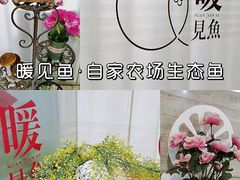 -暖见鱼·自家农场生态鱼