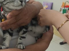 -美联众合动物医院·24h京西诊疗中心