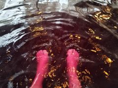 -天目湖涵田半山温泉