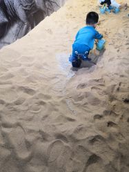 点击看大图 -恐龙探索乐园(磁器口店)