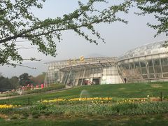 -北京植物园-展览温室