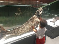 -石家庄海洋公园