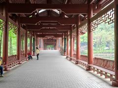 -重庆彩云湖湿地公园