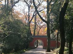 -灵谷景区