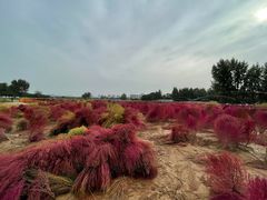 -汉长安城未央宫国家考古遗址公园