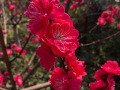 -上海市龙华烈士陵园