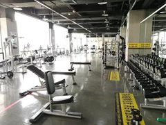 -天行健身＆天行拳馆跆拳道·格斗TXGYM