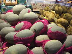 哈密瓜-水果天空(东葛店)