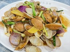 豉椒炒花蛤-明记海鲜大排档(巽寮湾店)