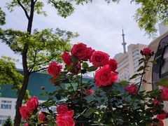 -山西医科大学第二医院(院本部)