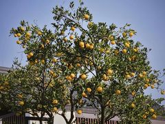 -东钱湖旅游度假区