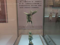 -信阳博物馆