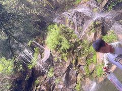 -少华山国家森林公园
