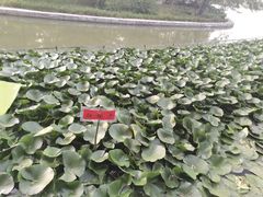 -洛阳市隋唐城遗址植物园