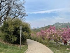 -大连植物园