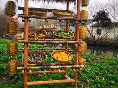 -溱湖国家湿地公园