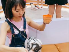-猪盟咖啡店(玖洲道店)