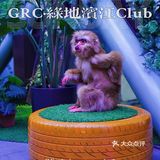 GRC·绿地滨江｜没有特色就是最大的特色！