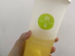 -树夏(鹭洲里店)