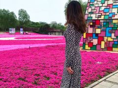 -石家庄市植物园