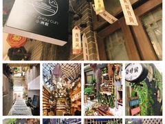 -小洲村
