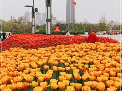 -环城公园