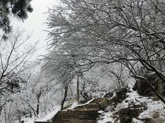 -香山公园