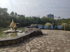 -吴淞炮台湾湿地森林公园烧烤区