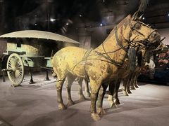 -秦始皇帝陵博物院(兵马俑)