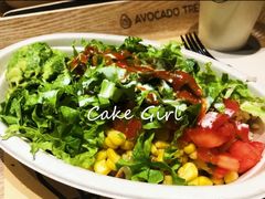 -油梨树AVOCADO TREE(望京店)