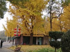 -北京世界公园