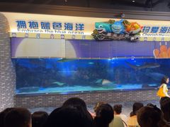 -成都浩海立方海洋公园