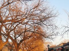-北京国子监胡同