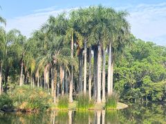 -中国科学院西双版纳热带植物园