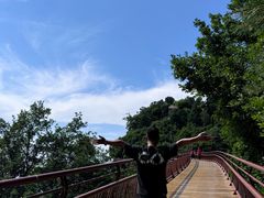 -少华山国家森林公园