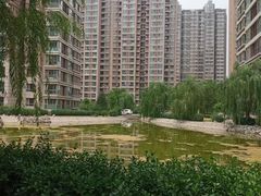 -北京大学-燕南食堂