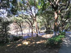 -燕晗山郊野公园