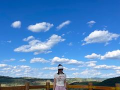 -塞罕坝国家级自然保护区