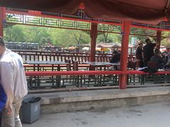 -尚庄度假村·庭台树下·户外烧烤·团建CS·轰趴营地(上庄水库店)