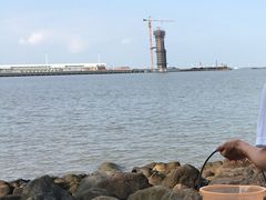 -吴淞炮台湾湿地森林公园烧烤区