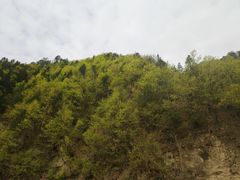 -辋川溶洞
