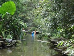 -成都市活水公园