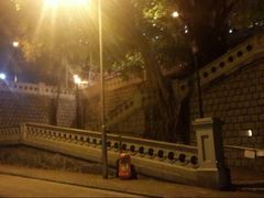 -香港佐治五世纪念公园