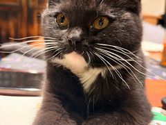 -龙源茶坊(白银路店)