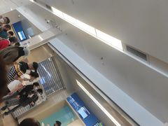 -首都医科大学附属北京天坛医院