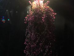 -聚缘·湘味音乐餐厅party(罗湖店)