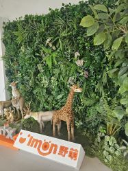 -IMON·HANSA潮玩玩偶毛绒玩具(通州万象汇店)