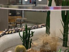 -OUR Bakery(SKP-S店)